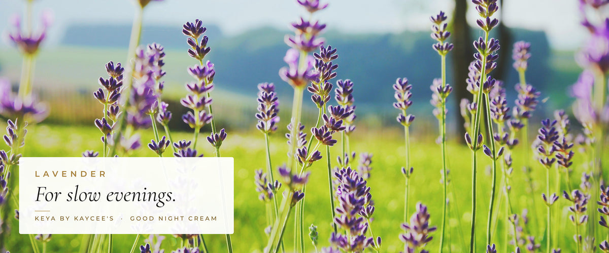 Purple lavender growing in a meadow with the words For slow evenings, for KEYA Good Night Cream