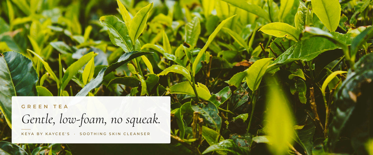 Green tea bushes in sunlight with the words Gentle, low-foam, no squeak, for KEYA Soothing Skin Cleanser