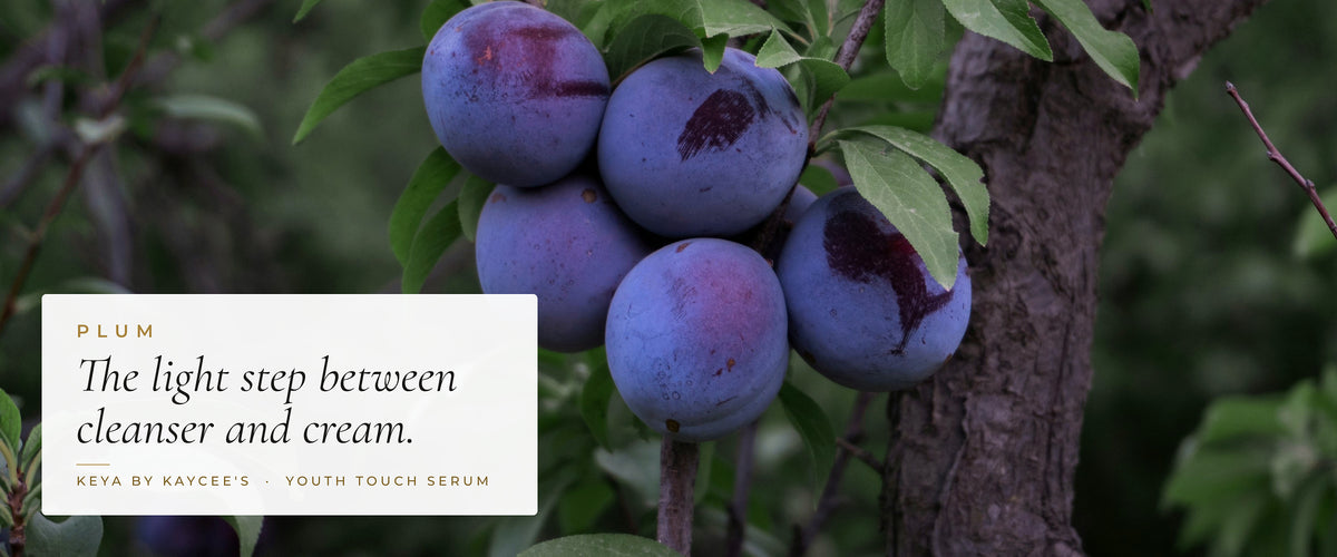 Ripe plums on the branch with the words The light step between cleanser and cream, for KEYA Youth Touch Serum