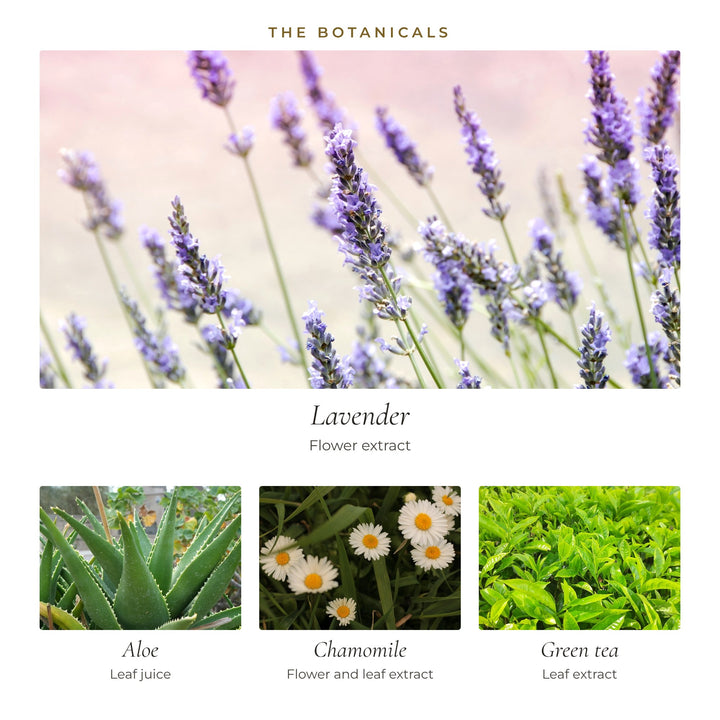 The botanicals in Good Night Cream: lavender flower, aloe leaf juice, chamomile and green tea leaf