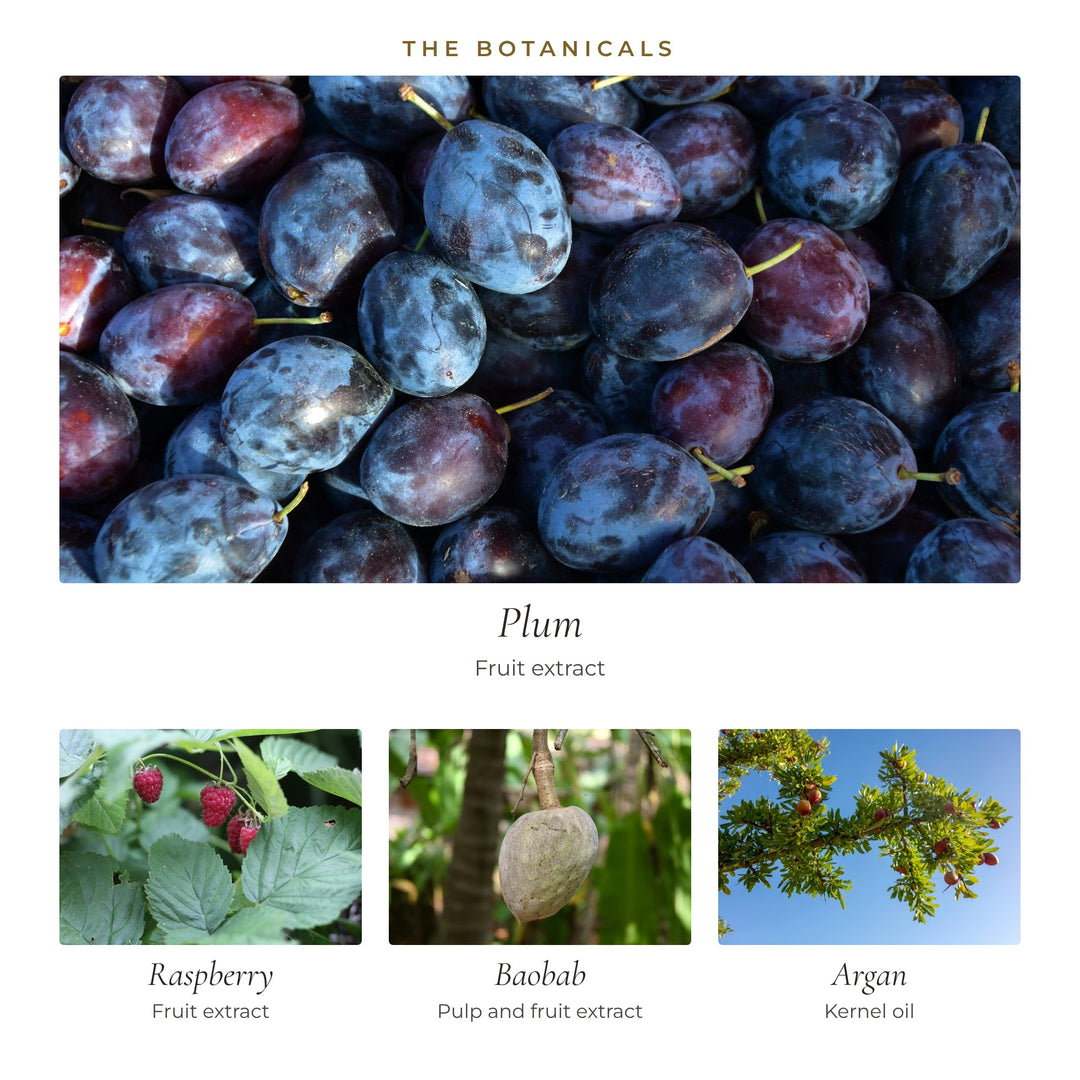 The botanicals in Youth Touch Serum: plum, raspberry, baobab and argan