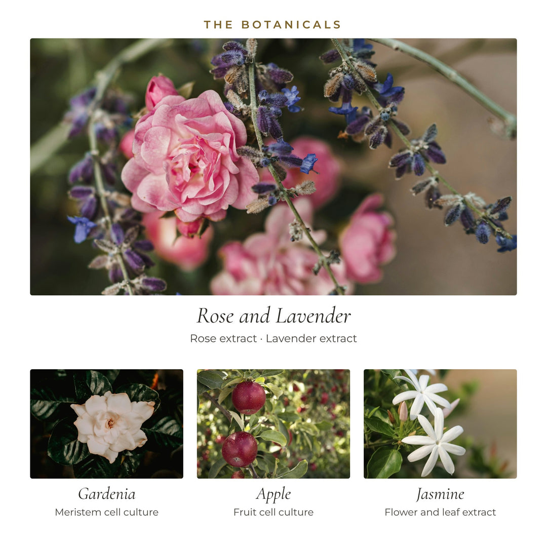 The botanicals in Daily Glow Peptide Cream: rose and lavender extracts, gardenia meristem cell culture, apple fruit cell culture and jasmine