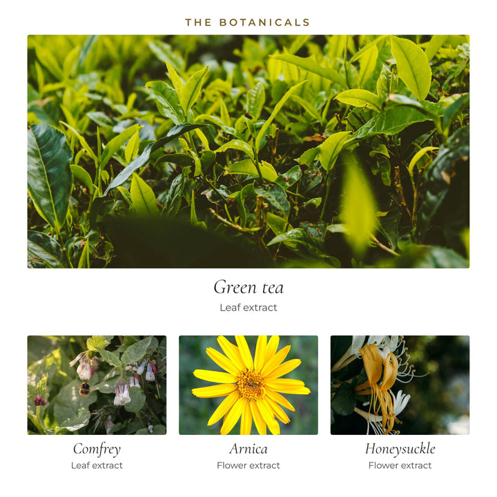 The botanicals in Soothing Skin Cleanser: green tea, comfrey leaf, arnica flower and honeysuckle flower extracts