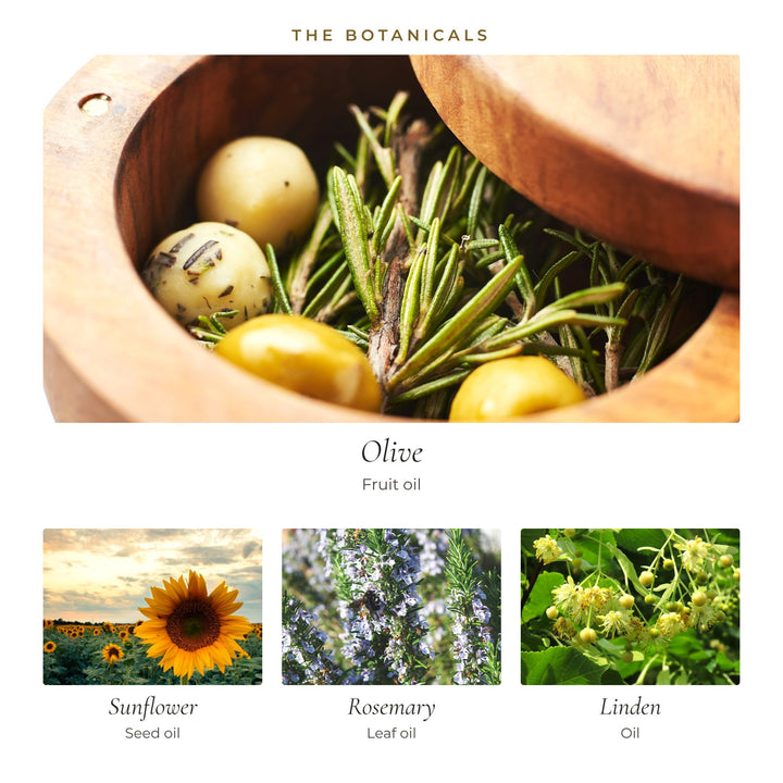 The botanicals in Vibrant Cleansing Oil: olive fruit oil, sunflower seed oil, rosemary leaf oil and linden oil